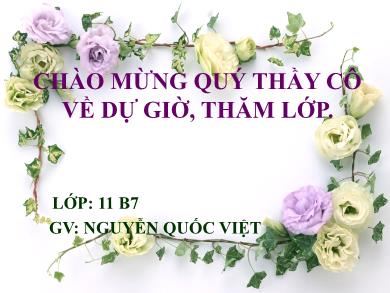 Bài giảng môn Ngữ văn lớp 11 - Tiết 44: Đọc văn: Hạnh phúc của một tang gia (Trích số đỏ - Vũ Trọng Phụng) - Nguyễn Quốc Việt