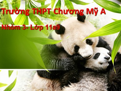 Bài giảng Địa lí lớp 11 - Bài 10, Tiết 1: Tự nhiên, dân cư và xã hội Trung Quốc - Trường THPT Chương Mỹ A