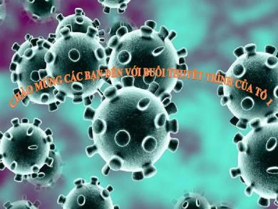 Bài giảng dự giờ Sinh học lớp 10 - Bài 29: Cấu trúc các loại Virut