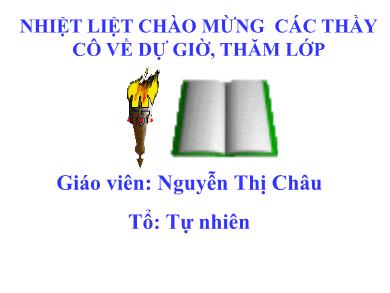 Bài giảng Giải tích lớp 12 - Chương 2, Bài 3: Logarit - Nguyễn Thị Châu