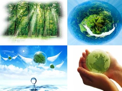Bài giảng Giáo dục công dân khối 11 - Bài 12: Chính sách tài nguyên và bảo vệ môi trường