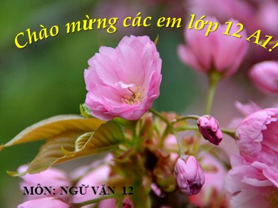 Bài giảng môn Ngữ văn lớp 12 - Tiết 64+65: Đọc văn: Rừng Xà Nu (Nguyễn Trung Thành)