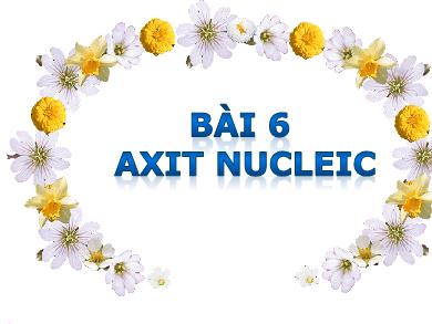 Bài giảng môn Sinh học 10 - Bài 6: Axit Nucleic