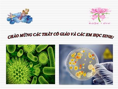 Bài giảng môn Sinh học 10 - Phần 3, Bài 22: Dinh dưỡng chuyển hóa vật chất và năng lượng ở vi sinh vật