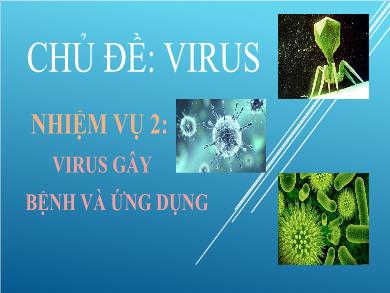 Bài giảng môn Sinh học lớp 10 - Bài 31: Virut gây bênh, ứng dụng của virut trong thực tiễn