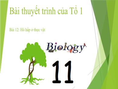 Bài giảng môn Sinh học lớp 11 - Bài 12: Hô hấp ở thực vật