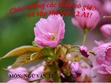 Bài giảng Ngữ văn lớp 12 - Tiết 64+65: Đọc văn văn bản: Rừng Xà Nu (Nguyễn Trung Thành)