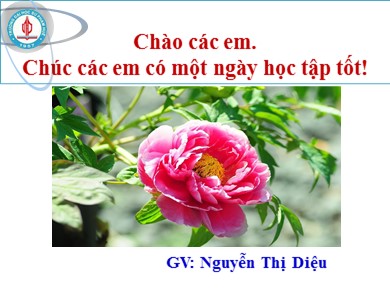 Bài giảng Ngữ văn lớp 12 - Tiết 93: Đọc văn: Chiếc thuyền ngoài xa (Nguyễn Minh Châu) - Nguyễn Thị Diệu
