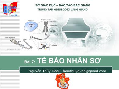 Bài giảng Sinh học lớp 10 - Bài 7: Tế bào nhân sơ - Nguyễn Thủy Hoài