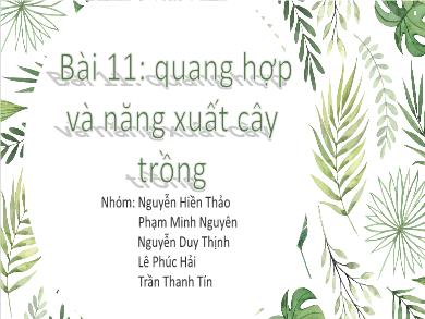 Bài giảng Sinh học lớp 11 - Bài 11: Quang hợp và năng xuất cây trồng - Nguyễn Hiền Thảo
