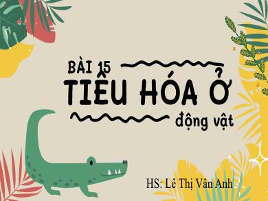 Bài giảng Sinh học lớp 11 - Bài 15: Tiêu hóa ở động vật - Lê Thị Vân Anh