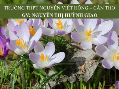 Bài giảng Sinh học lớp 11 - Bài 24: Ứng động - Nguyễn Thị Huỳnh Giao