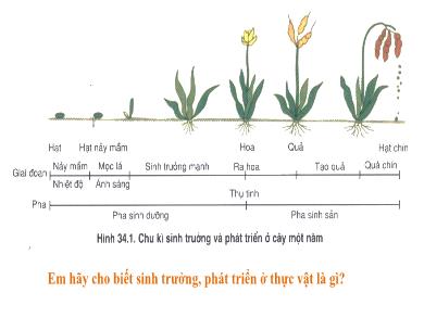 Bài giảng Sinh học lớp 11 - Bài 37: Sinh trưởng và phát triển ở động vật - Nguyễn Thị Thuận