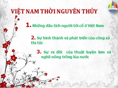 Bài giảng môn Lịch sử lớp 10 - Bài 13: Việt Nam thời nguyên thủy