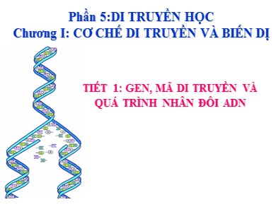 Bài giảng môn Sinh học lớp 12 - Tiết 1, Bài 1: Gen, Mã di truyền và quá trình nhân đôi ADN