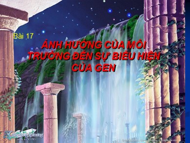 Bài giảng Sinh học 12 - Tiết 17, Bài 13: Ảnh hưởng của môi trường lên sự biểu hiện gen - Phạm Thị Trang