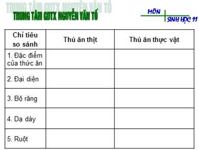 Bài giảng Sinh học lớp 11 - Bài 15: Tiêu hóa ở động vật (Tiết 2) - Trường THPT Nguyễn Văn Tố