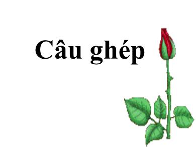 Bài giảng Ngữ văn 8 - Câu ghép (tt)