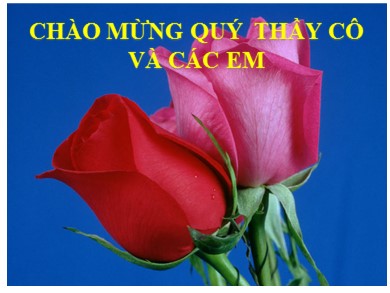 Bài giảng Ngữ văn 8 - Tiếng Việt: Trợ từ, thán từ