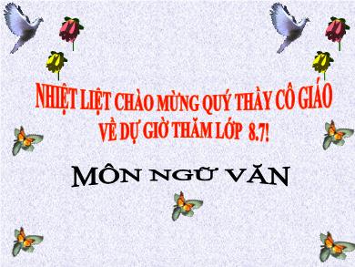 Bài giảng Ngữ văn 8 - Tiết 27: Tiếng Việt: Tình thái từ