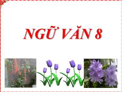 Bài giảng Ngữ văn 8 - Tiết học 44: Tìm hiểu chung về văn bản thuyết minh