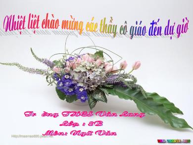 Bài giảng Ngữ văn 8 - Tiết học 81: Quê hương