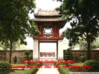 Bài giảng Ngữ văn 7 - Bài 5: Từ Hán Việt
