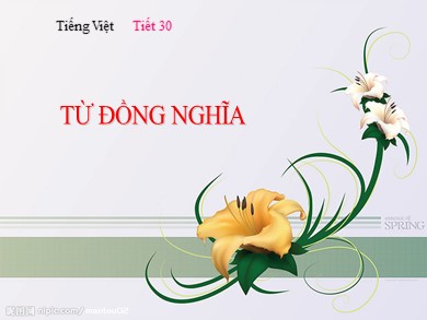 Bài giảng Ngữ văn 7 - Tiếng Việt - Tiết 30: Từ đồng nghĩa