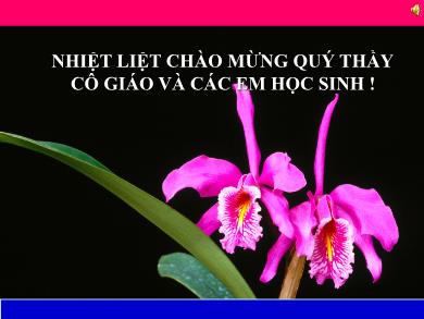 Bài giảng Ngữ văn 7 - Tiếng Việt - Tiết 61: Chơi chữ