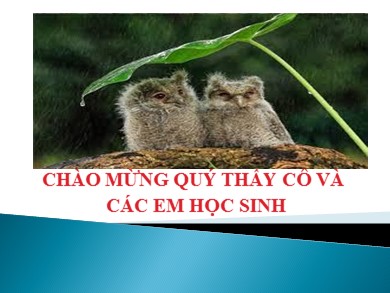 Bài giảng Ngữ văn 7 - Tiết dạy thứ 18: Từ Hán Việt