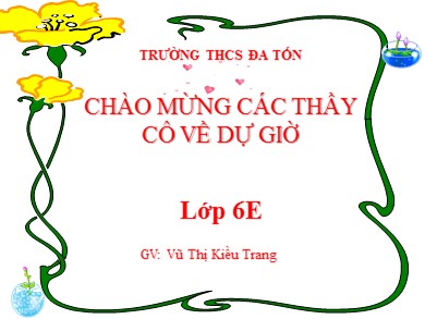 Bài giảng Sinh học 6 - Bài 15: Cấu tạo trong của thân non