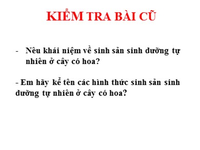 Bài giảng Sinh học 6 - Bài 27: Sinh sản sinh dưỡng do người