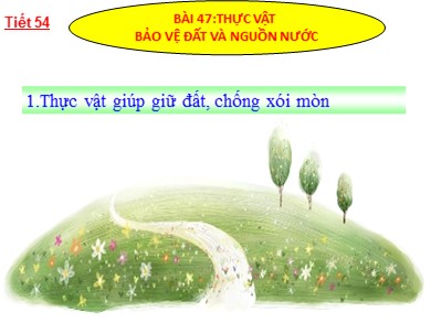 Bài giảng Sinh học 6 - Bài 47: Thực vật bảo vệ đất và nguồn nước