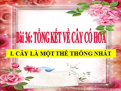 Bài giảng Sinh học 6 - Bài dạy số 36: Tổng kết về cây có hoa