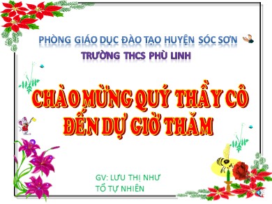 Bài giảng Sinh học 6 - Rêu, quyết, dương xỉ