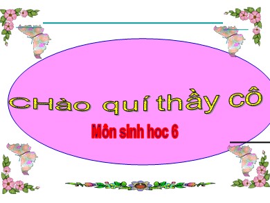 Bài giảng Sinh học 6 - Sinh sản sinh dưỡng do người