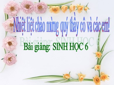 Bài giảng Sinh học 6 - Sự lớn lên và phân chia của tế bào