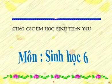 Bài giảng Sinh học 6 - Tiết 41 - Bài 36: Tổng kết về cây có hoa