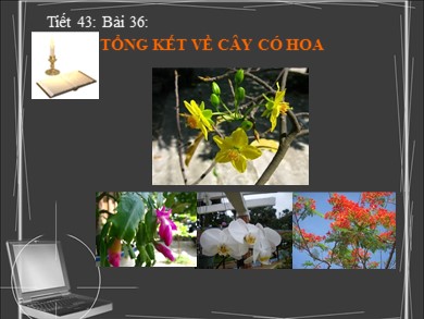 Bài giảng Sinh học 6 - Tiết 43 - Bài dạy 36: Tổng kết về cây có hoa