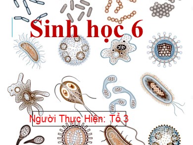 Bài giảng Sinh học 6 - Tiết 63 - Bài 50: Vi khuẩn