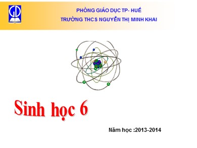 Bài giảng Sinh học 6 - Tiết dạy 22 - Bài học 20: Cấu tạo trong của phiến lá