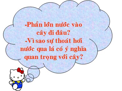 Bài giảng Sinh học 6 - Tiết học 31: Biến dạng của lá