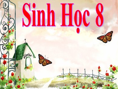 Bài giảng môn Sinh học 8 - Bài 11: Tiến hóa của hệ vân động vệ sinh hệ vận động