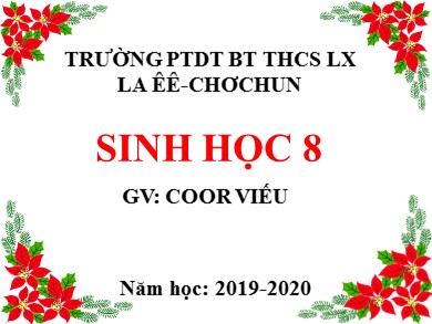 Bài giảng môn Sinh học 8 - Bài 25: Tiêu hoá ở khoang miệng