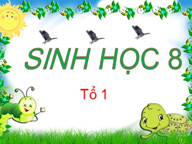 Bài giảng môn Sinh học 8 - Bài 28: Tiêu hóa ở ruột non