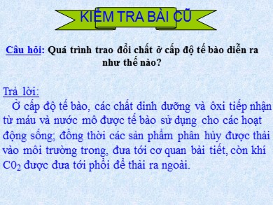 Bài giảng môn Sinh học 8 - Bài 32: Chuyển hóa