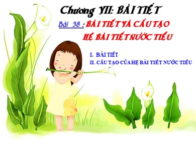 Bài giảng môn Sinh học 8 - Bài 38: Bài tiết và cấu tạo hệ bài tiết nước tiểu