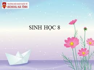 Bài giảng môn Sinh học 8 - Bài học 38: Bài tiết và cấu tạo hệ bài tiết nước tiểu