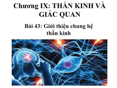 Bài giảng môn Sinh học 8 - Bài học 43: Giới thiệu chung hệ thần kinh