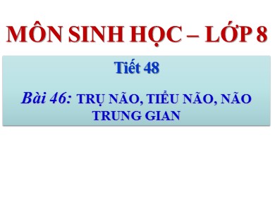 Bài giảng môn Sinh học 8 - Bài học 46: Trụ não, tiểu não, não trung gian